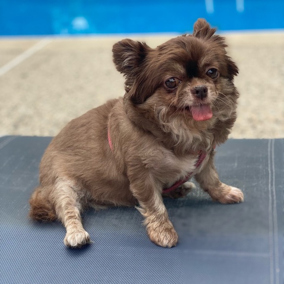 Meet your Posher, Darryl - Picture 5 of 6